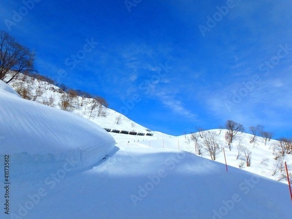 Obraz 快晴のスキー場、最高のコンデションのゲレンデ、雪山です。