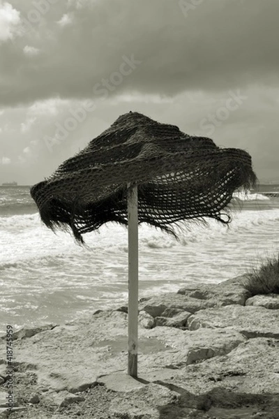 Obraz beach umbrella on the beach