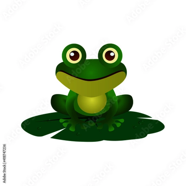 Obraz frog on a leaf
