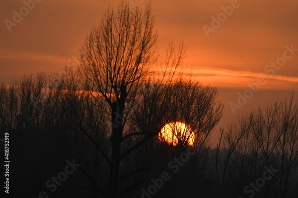 Obraz Beauty sunset over forest with orange sky and sun behind the trees