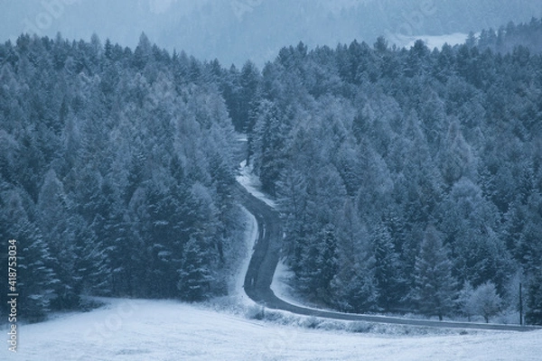 Fototapeta Winding road in snowy forest