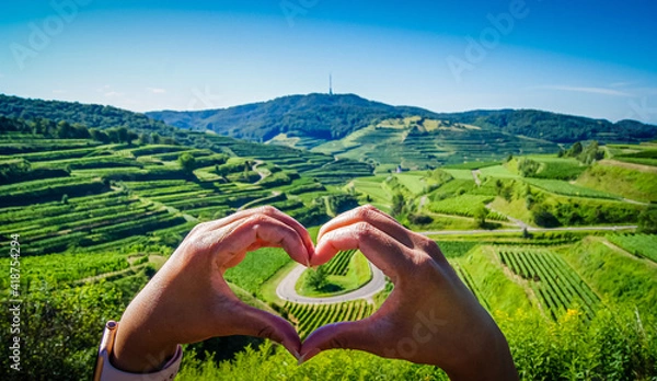 Fototapeta Close-up of woman's hands forming a heart in the golden evening sun. If you look through you can see the beautiful vineyard terraces with a mountain pass road at Kaiserstuhl, Germany.