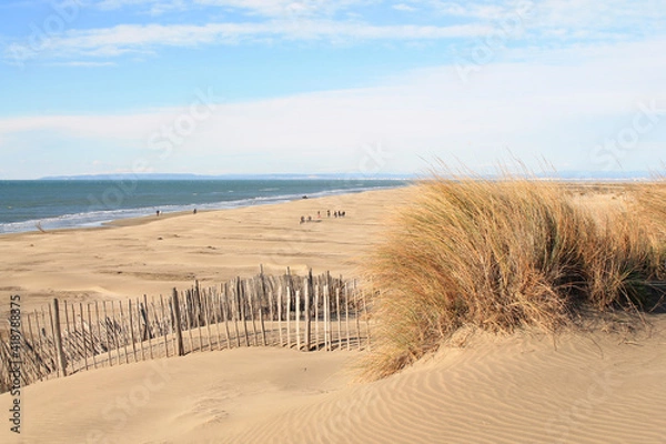 Fototapeta Natural and wild beach with a beautiful and vast area of dunes, Camargue region in the South of Montpellier, France