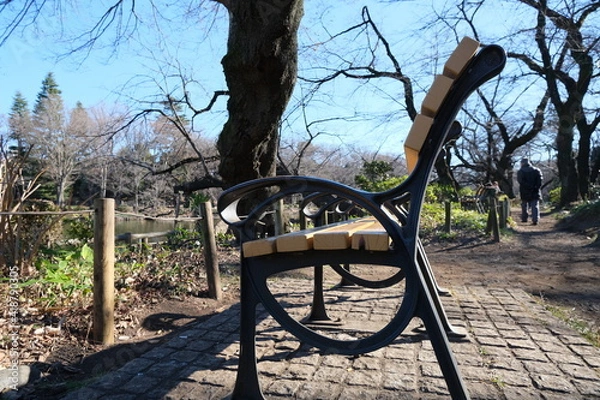 Obraz 公園のベンチ