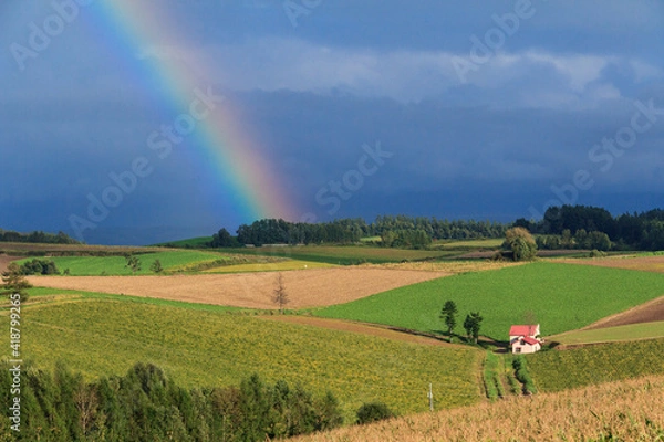 Fototapeta 美瑛　赤い屋根の家
