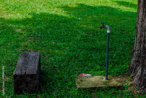 Obraz mower in the garden