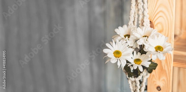 Fototapeta long format banner, bouquet of white daisy flowers in white knitted macrame pot. selective focus
