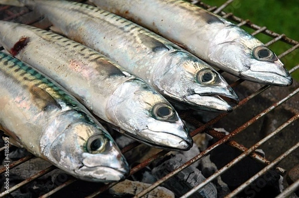 Obraz Maquereaux grillés