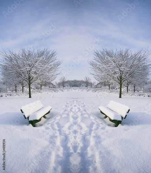 Obraz benches in the snow