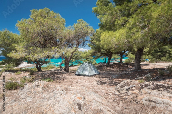 Fototapeta Camping tent on the mediterranean coast in olive tree shade
