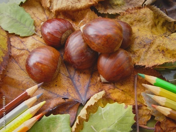 Obraz Pintar o Outono