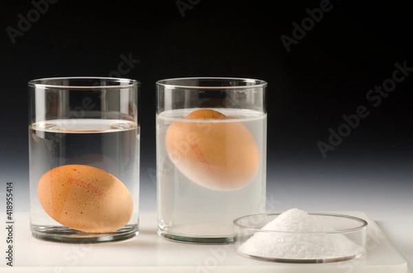 Fototapeta Physics. Egg floating in salt water.