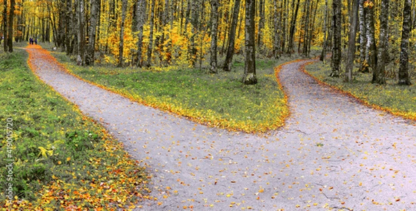 Obraz A wide trail in the autumn park forks into two hiking trails going in different directions.