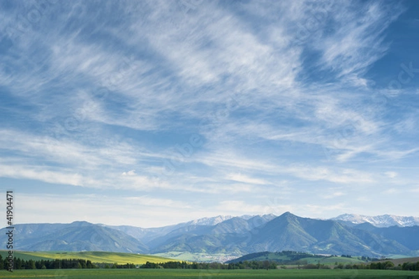 Fototapeta Field road