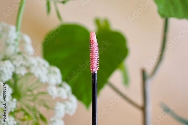 Fototapeta ピンクのマスカラ