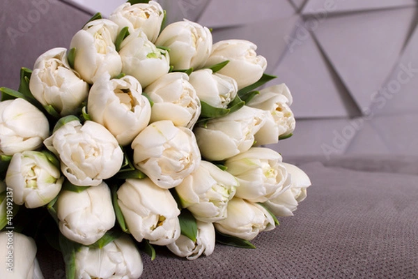Obraz congratulations with flowers, white tulips