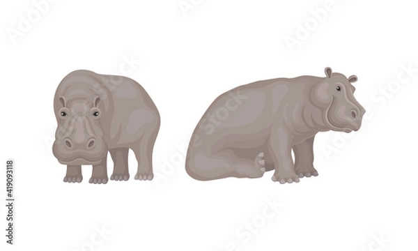 Fototapeta Hippopotamus or Hippo as Large Semiaquatic Mammal in Different Pose Vector Set