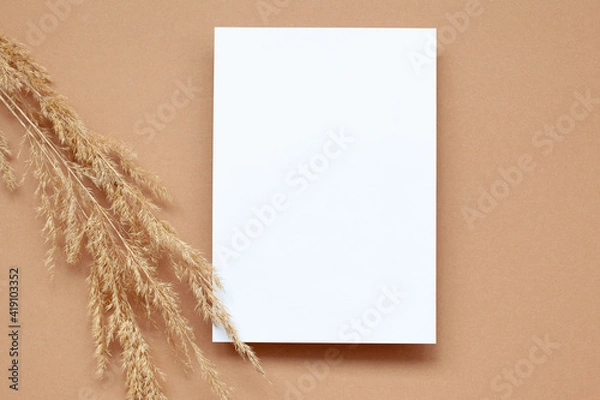Fototapeta Mockup with empty blank paper and dried pampas grass over pastel beige background. Minimal, stylish concept.