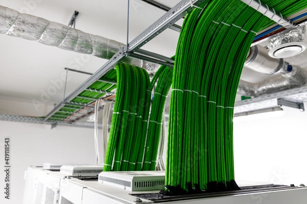 Fototapeta Green data cables