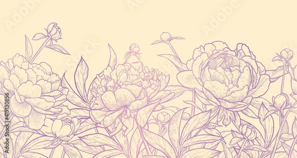 Obraz Floral seamless border. Vintage peony background. Hand drawn vector illustration.