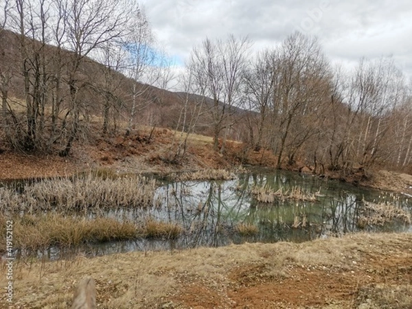 Fototapeta river in the forest