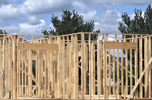 Obraz Framework - Lumber