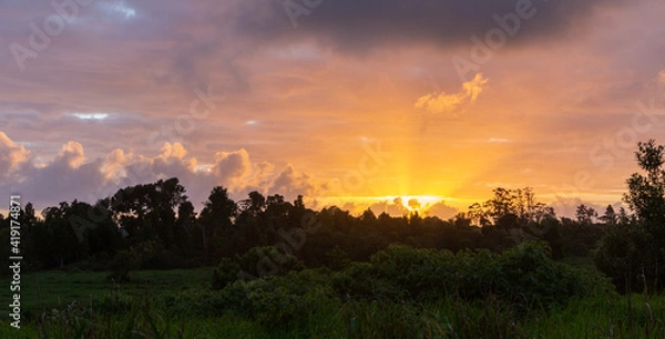 Fototapeta sunset over the field
