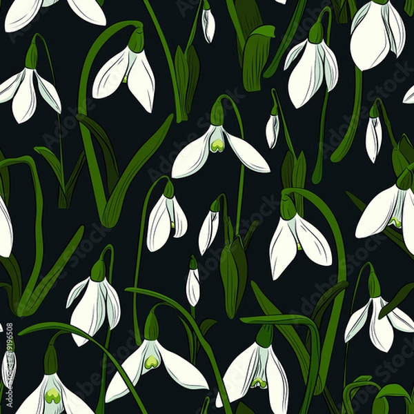 Obraz Snowdrops