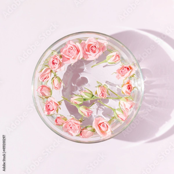 Fototapeta Floating soft pink roses in aromatherapy bowl with water. Top view minimal concept. Sun and shadows. Pastel background.