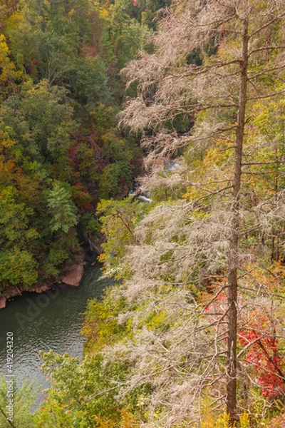Obraz autumn in the mountains