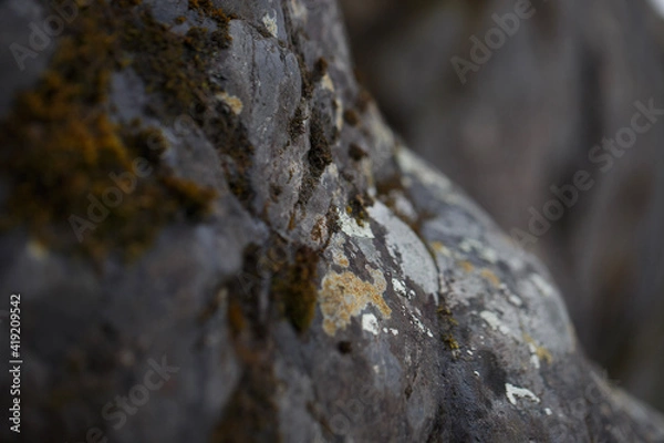 Fototapeta without focus macro stone with lichen