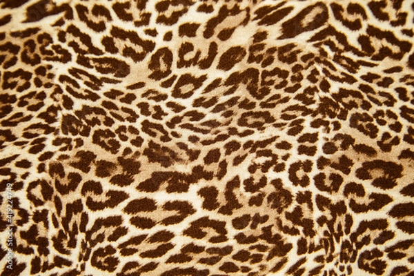 Obraz Leopard background texture safari pattern leopard print fabric material design.