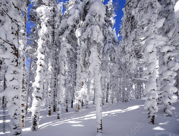 Obraz Northern Canada 