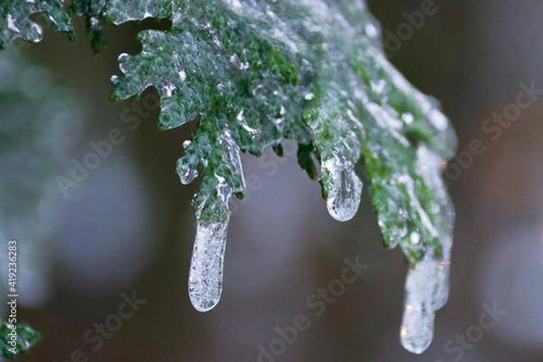 Obraz Eiszapfen