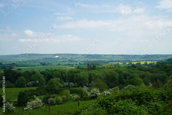 Obraz イギリスの田舎　丘陵地帯　屋外の自然風景