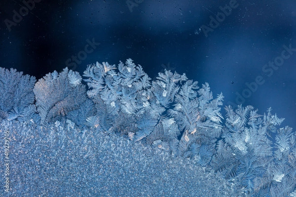 Obraz Iceflowers on the window