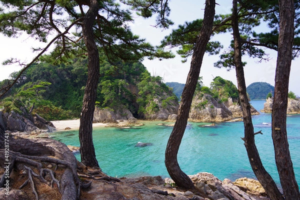 Obraz 日本　松原と日本海の景色　鳥取県浦富海岸