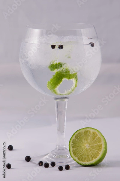 Obraz Gin tonic