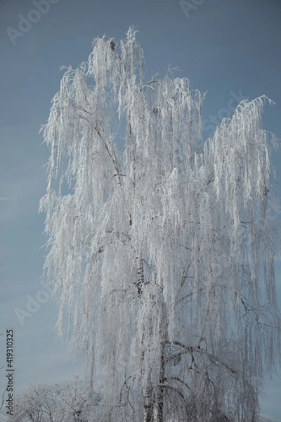 Obraz landscape snowy streets