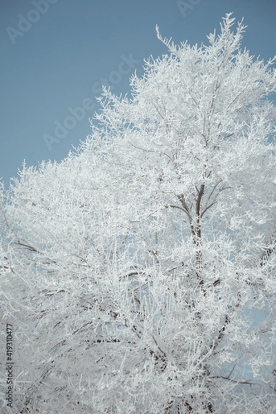 Obraz landscape snowy streets
