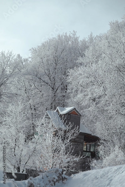 Obraz landscape snowy streets