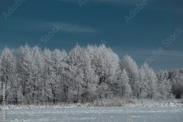 Obraz landscape snowy forest and river