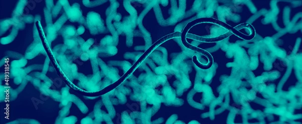 Obraz 3D Visualisierung Ebola Virus oder Parasit unter dem Mikroskop