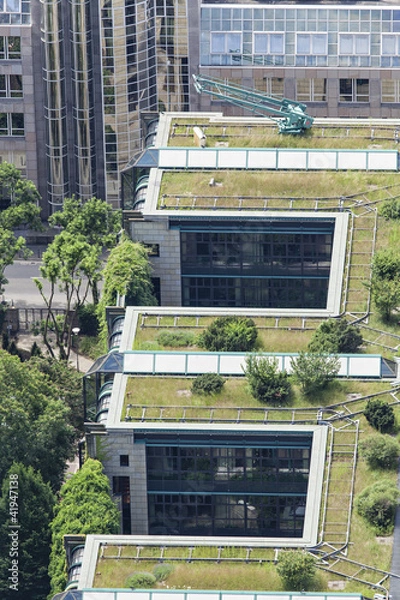 Obraz Dachbegrünung 01