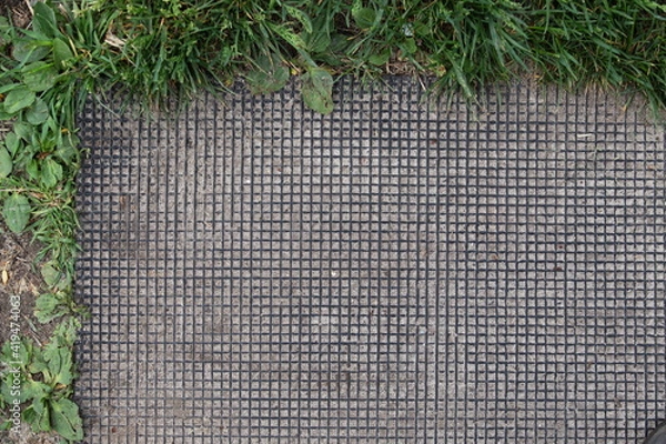 Obraz leaves on the wall