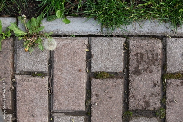 Obraz stone with grass background 