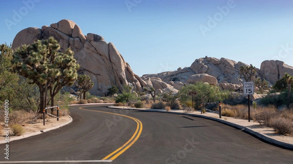 Obraz joshua tree national park