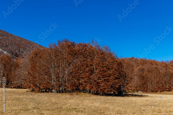 Obraz autumn in the mountains