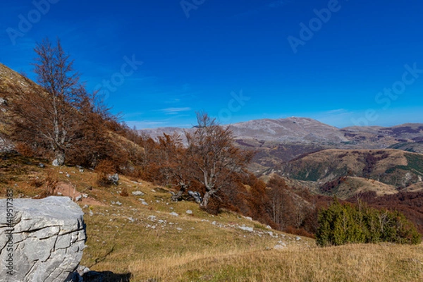 Obraz autumn in the mountains