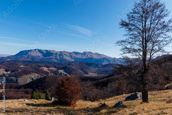Obraz autumn in the mountains